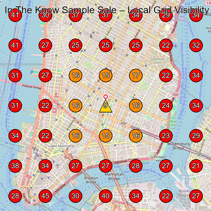 In The Know Sample Sale GeoGrid visibility map for Shoe Store in New York